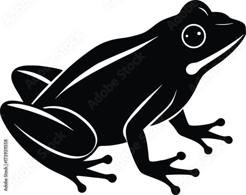 A cute cartoon vector illustration of a black eyed tree frog on a white background is a funny amphibian drawing for wildlife art