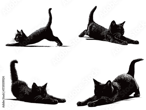 Four black cats are shown stretching in different poses, showcasing their flexibility and grace. These playful felines stretch against a plain background.