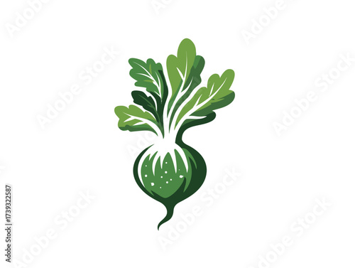 A vibrant illustration shows a fresh green radish with lush green leaves. The design captures the natural beauty and shape of the vegetable in a simple style.