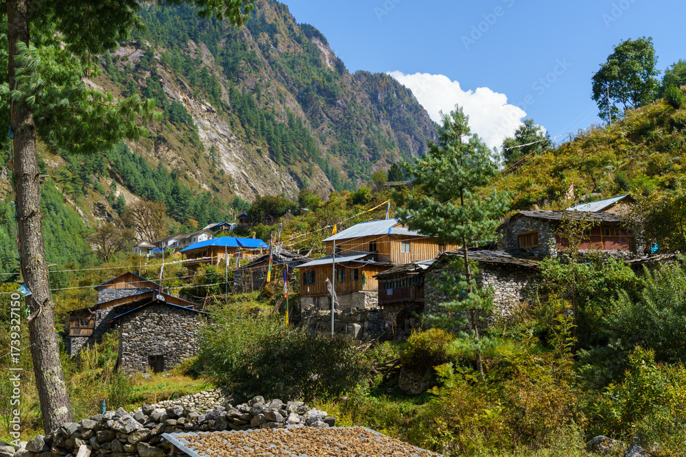 Fototapeta premium Mountain village nestled among green trees and slopes