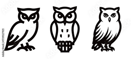 Three distinct owl illustrations present a variety of styles and postures. Each design features sharp lines and unique features, emphasizing their personality.