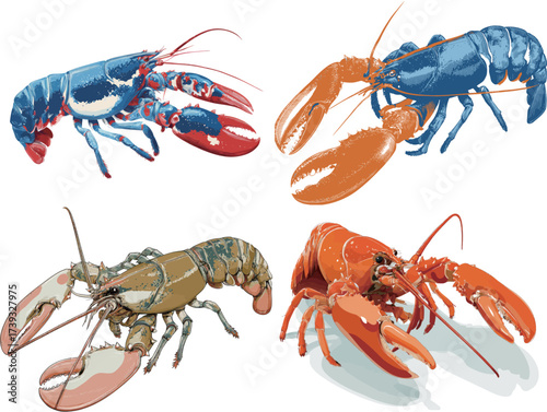 Four lobsters of different species are shown in vibrant colors. Each lobster has distinct features and claws, showcasing their unique appearances.