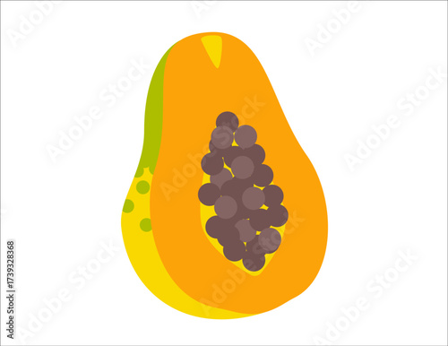 Half papaya fruit with seeds. Flat colorful vector illustration