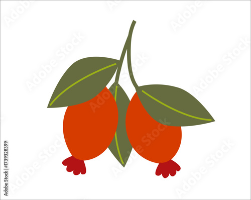 Rose hips with green leaves.  flat vector illustration of autumn fruit