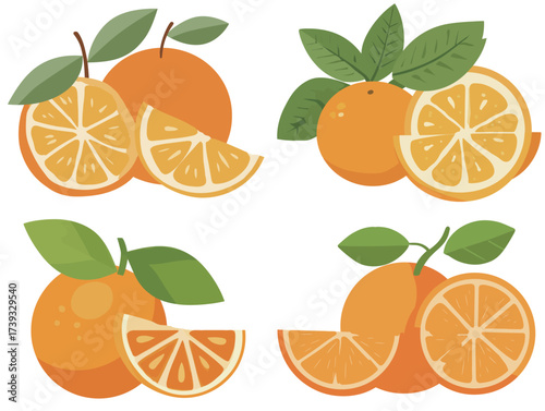 Bright oranges are artistically arranged, highlighting both whole fruits and neatly sliced segments, with green leaves adding a lively touch to the scene.