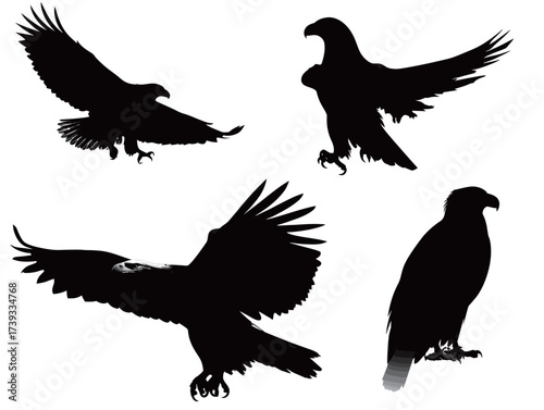 Four eagles in silhouette display their distinctive shapes while flying in different poses against a white background, highlighting their grace and power.