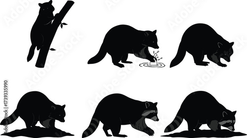 Black raccoon silhouettes in natural poses, climbing, sniffing, digging, and walking—vector icons for wildlife, forest animals, and nature scenes.