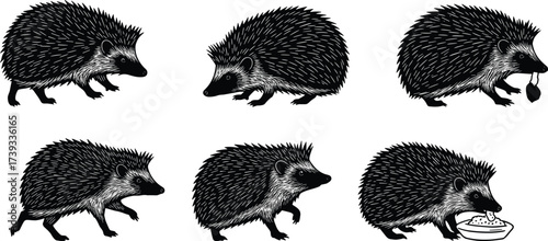 set of black silhouettes of animals