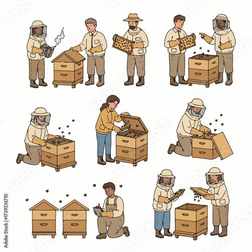 Beekeepers working with beehives in an apiary