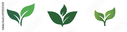 Three leaf icons showcase various designs and shades of green, suitable for nature themes or environmental initiatives. Each leaf design highlights a unique style.