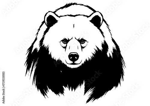 Cartoon bear cub character with a cute expression on a white background with copy space
