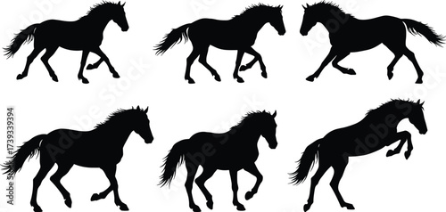 Horse Silhouette Vector Set Showing Equine Motion, Galloping Poses, Animal Anatomy, Black Icons, Wildlife Behavior, Stallion and Mare Running Illustrations