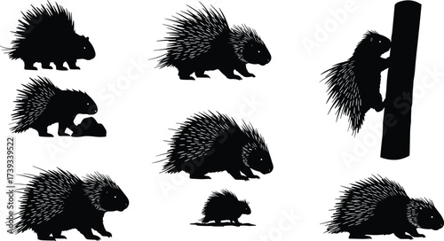 Porcupine silhouette vector set with quill details, black animal illustrations for wildlife, nature, behavior, forest, education and design use