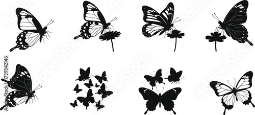 Set of eight butterfly silhouettes in flight and perched poses, nature vector icons for garden, pollination, and insect anatomy themes