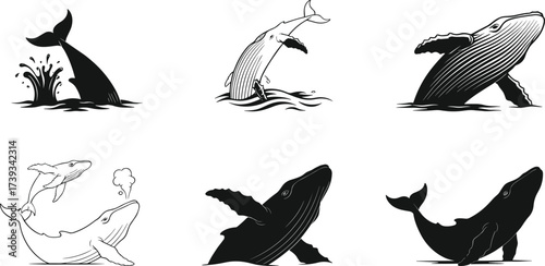 Stylized whale illustrations in various poses and artistic styles including silhouette, breaching, swimming, cartoon, and expressive marine animal designs