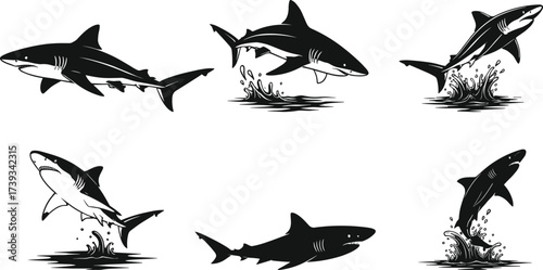 Stylized shark illustrations in black and white showing dynamic poses, splashes, swimming, jumping, and aggressive motion for marine vector design