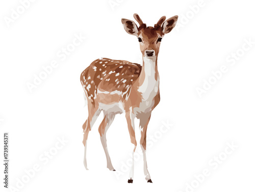 A young deer stands elegantly in a calm setting, showcasing beautiful spots on its coat. The animal appears alert and curious, capturing a peaceful moment in nature.