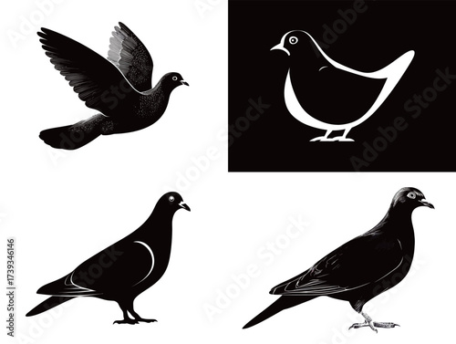 Four unique designs of pigeons are displayed in contrasting colors and styles, showcasing their shapes and features in an artistic manner.