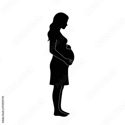 Pregnant woman silhouette side view gentle curve of expectant motherhood symbolizing life isolated on white background
