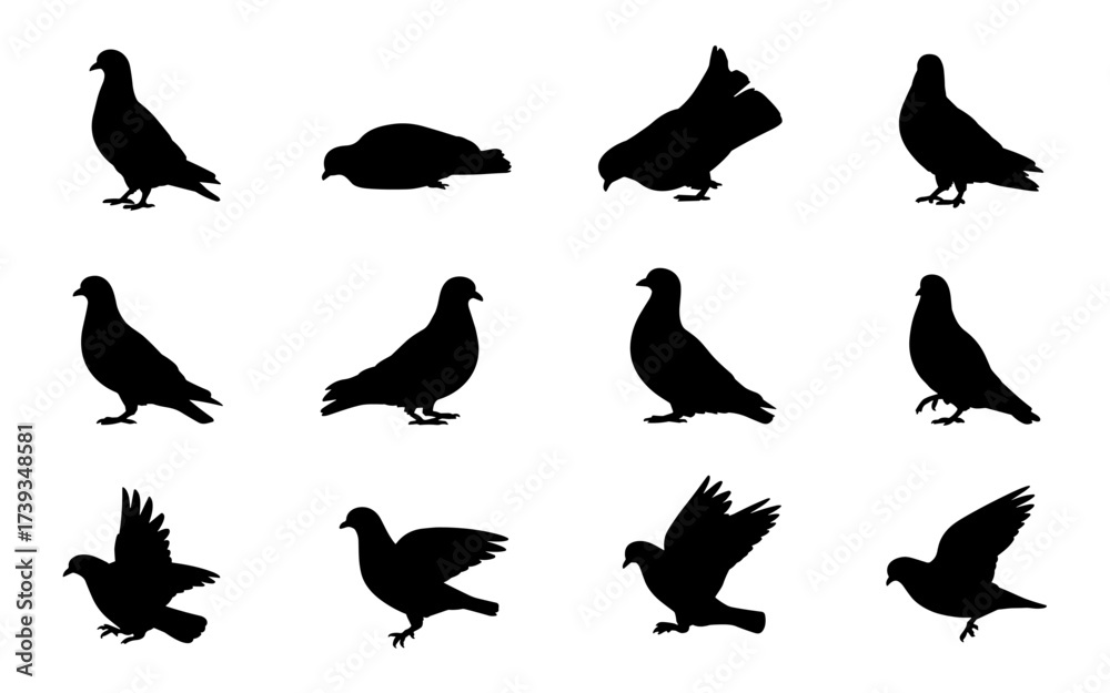 Obraz premium Pigeon Set Silhouette Vector Illustration