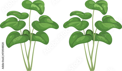 Green tropical leaves illustration, lush foliage plant design, natural botanical art, modern greenery decoration, tropical jungle leaves digital drawing