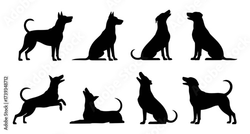 Dog Silhouette Set Collection Vector Illustration
