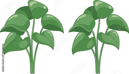 Green tropical leaves illustration, lush foliage plant design, natural botanical art, modern greenery decoration, tropical jungle leaves digital drawing