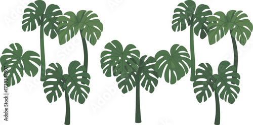 Tropical palm trees illustration, exotic jungle greenery design, summer paradise nature art, lush palm leaves drawing, beach island decorative foliage