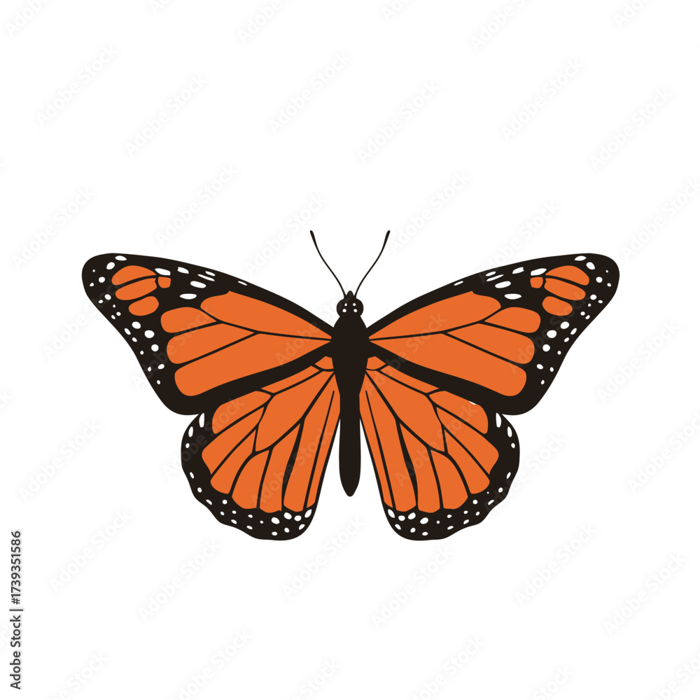 Fototapeta premium Vibrant monarch butterfly with intricate wing patterns and detailed antennae isolated on white background