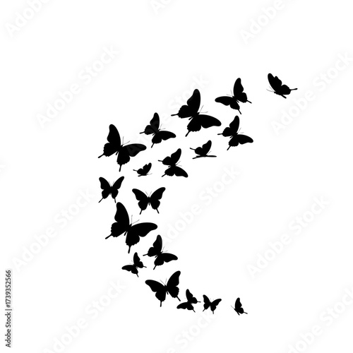 Elegant flock of black butterflies in dynamic flight silhouette design isolated on white background