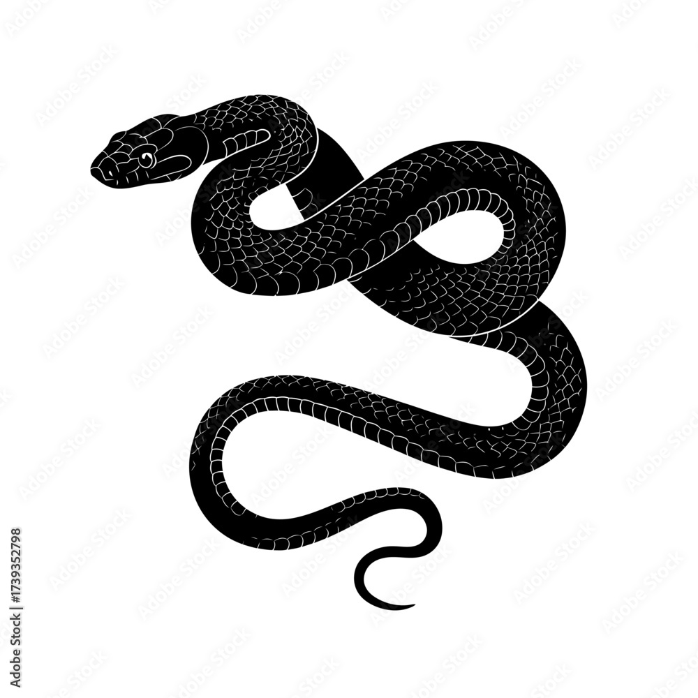 Obraz premium Detailed black snake silhouette coiled and ready to strike in a classic stylized design isolated on white background