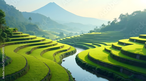 Green rice terraces with river and distant mountain