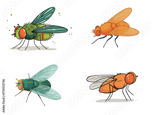 Four distinct illustrations of flies in various colors and styles against a plain background highlight their unique features. Perfect for educational or artistic purposes.