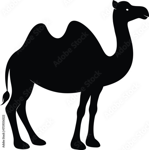 Cartoon illustration of a lone dromedary camel in the desert on sand, a wild animal silhouette isolated on white