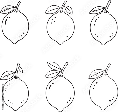 Six hand drawn black and white sketches of fresh lemons with leaves and stems