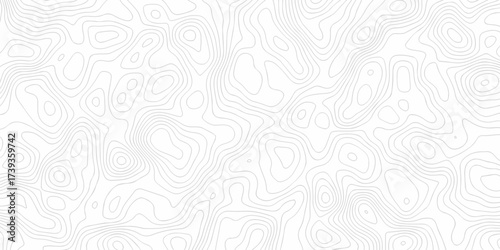 white topography map geography relief diagram texture design. Topography white background and black line world map texture design. Lines Topographic contour lines grid map seamless pattern.	
