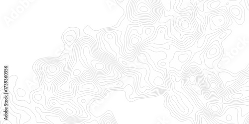 white topography map geography relief diagram texture design. Topography white background and black line world map texture design. Lines Topographic contour lines grid map seamless pattern.	
