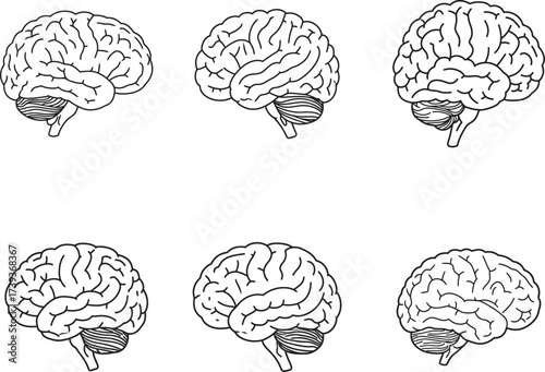 Set of six detailed hand drawn anatomical illustrations of the human brain from different angles