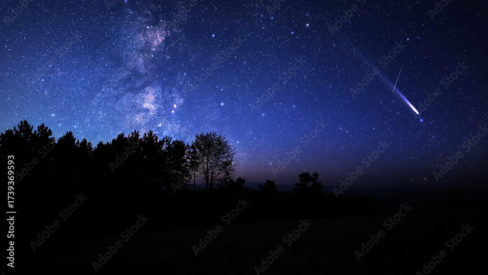Fototapeta premium Milky Way stars, planets, comets and meteor shower trails and countryside tree silhouettes.