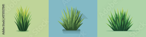 Lush green grass is displayed in a container with varied backgrounds of light green and blue. The vibrant hues enhance the freshness of the grass.
