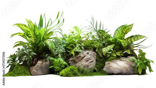 Natural landscape with rock and tropical greenery in the garden isolated on transparent background.

