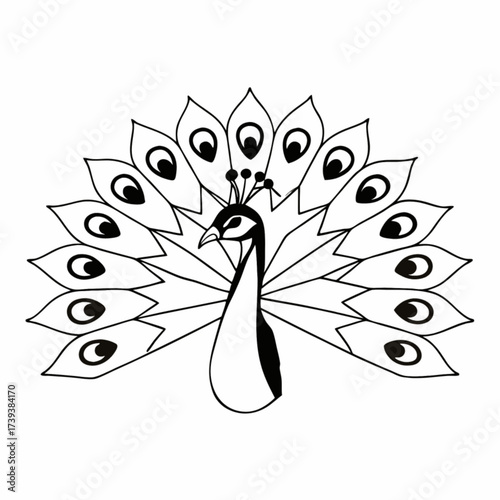 Minimilist stylized peacock with elaborate tail feathers displayed in a symmetrical and artistic arrangement design vector