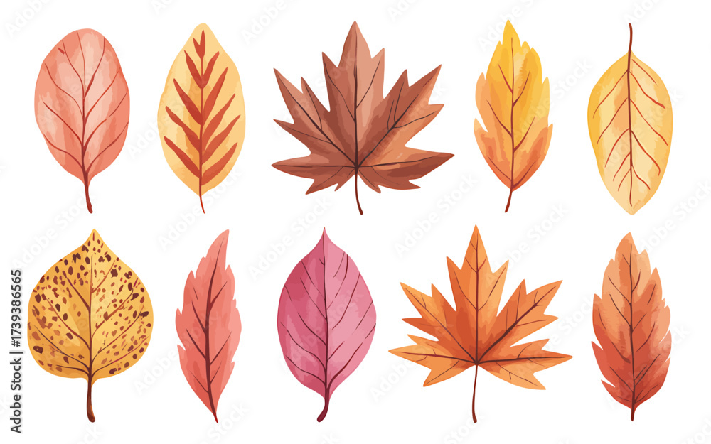 Fototapeta premium Watercolor Autumn Leaves Collection Decorative Fall Foliage Design Elements with Isolated Maple and Oak Leaf Illustrations for Creative Projects and Seasonal Greetings