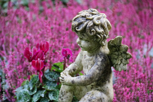 Engel im Herbst auf dem Friedhof zwischen lila Heidekraut und Alpenveilchen