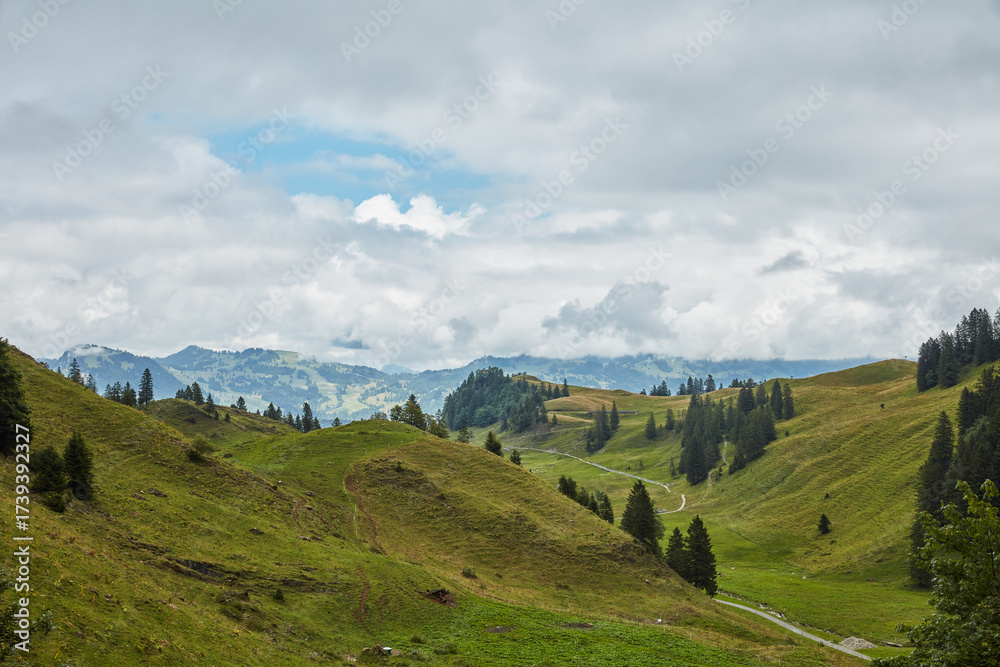 Fototapeta premium Rolling Green Hills and Pine Trees under a Cloudy Sky in a Serene Mountain Valley Landscape with Winding Path