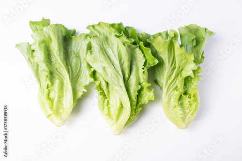 lettuce