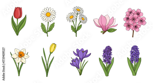Delightful assortment of spring flowers blossoming in vibrant hues, a cheerful botanical mix perfect for greeting cards and springtime promotions, originally a vector design