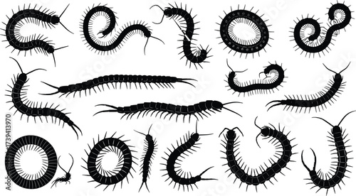 Centipede silhouette set, insect vector icons, black and white sketch, segmented body design grid, entomology illustration artwork