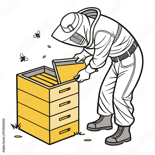 Beekeeper in protective suit inspecting a beehive with bees flying around Keywords: beekeeper, beekeeping, bee, bees, hive, beehive, apiary, apiarist, protective suit, uniform, hat, veil, gloves