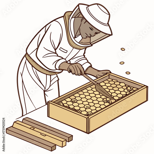 Beekeeper in protective suit using a tool to inspect honeycomb cells in a frame Keywords: beekeeper, beekeeping, honey, apiary, apiarist, beekeeping equipment, protective suit, veil, gloves
